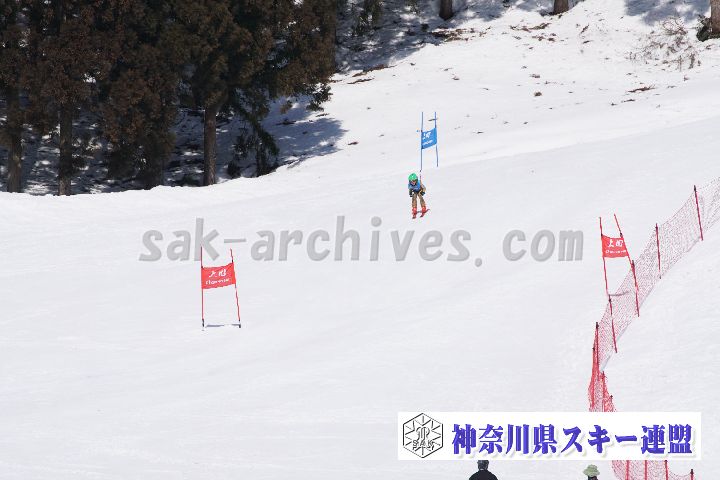180304_115212_0.jpg