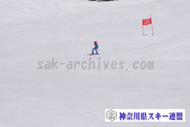 180304_115337_0.jpg