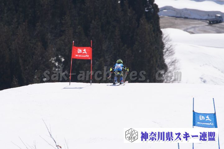 180304_110116_0.jpg