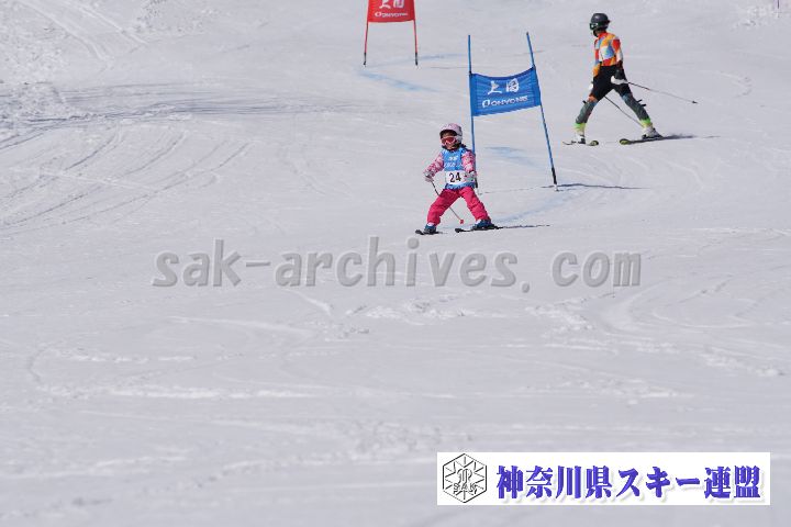 180304_133113_1.jpg