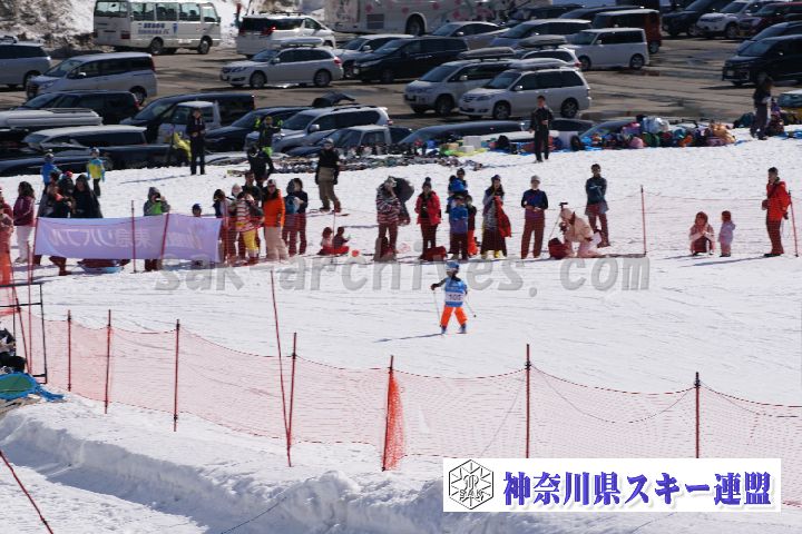 180304_142300_0.jpg