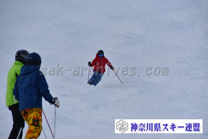 20181216_113946_3.jpg