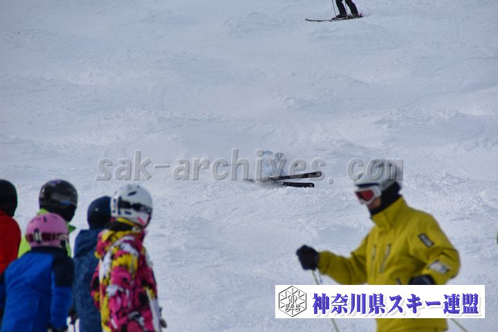 20181216_114123_1.jpg