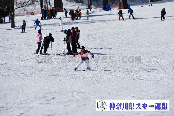 20190119_105949_0.jpg