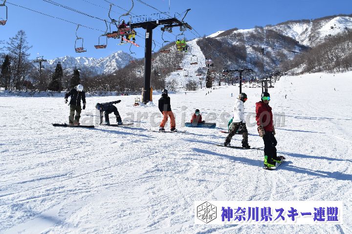 20190119_113132_0.jpg