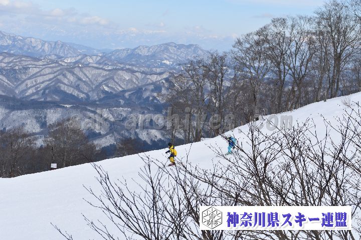 20190119_134929_0.jpg