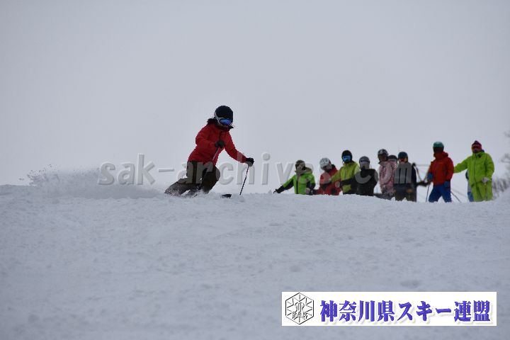20190119_144526_1.jpg