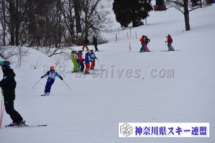 20190119_150435_2.jpg