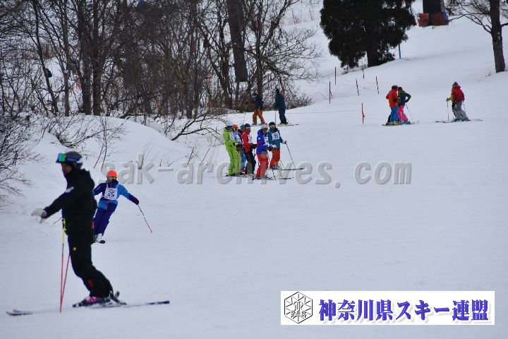 20190119_150436_1.jpg