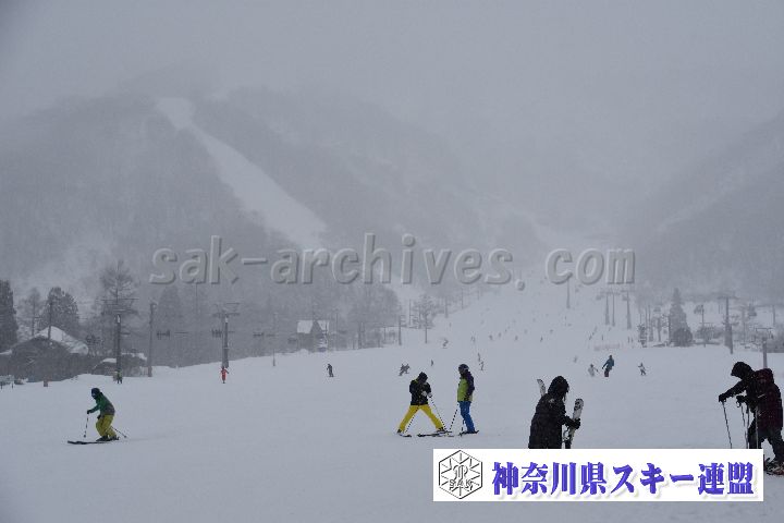 20190120_084445_0.jpg