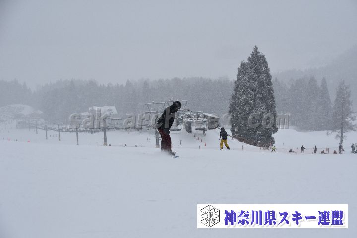 20190120_093503_1.jpg