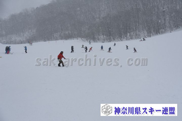 20190120_093541_3.jpg