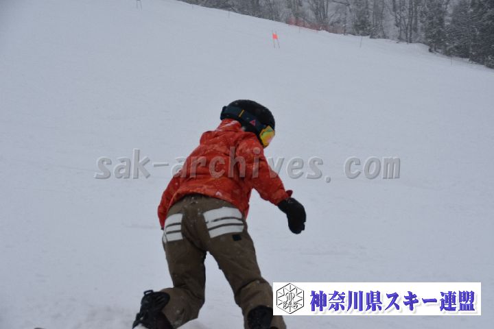 20190120_093544_1.jpg