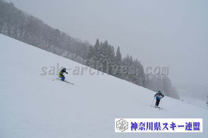 20190120_110209_2.jpg
