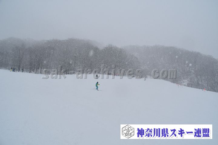 20190120_110243_2.jpg