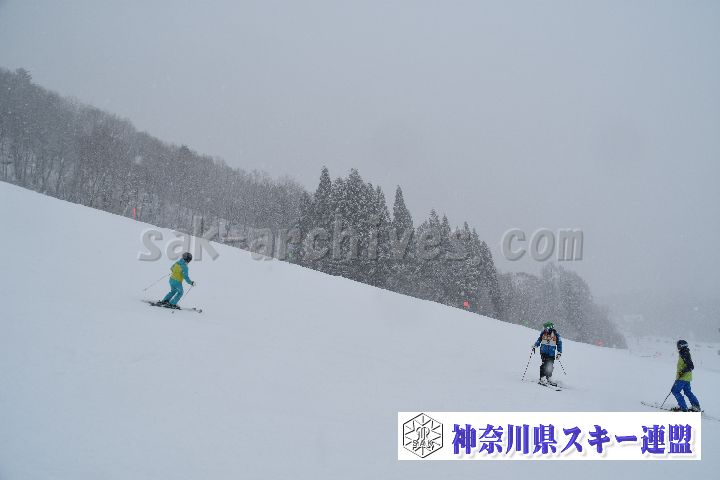 20190120_110251_2.jpg