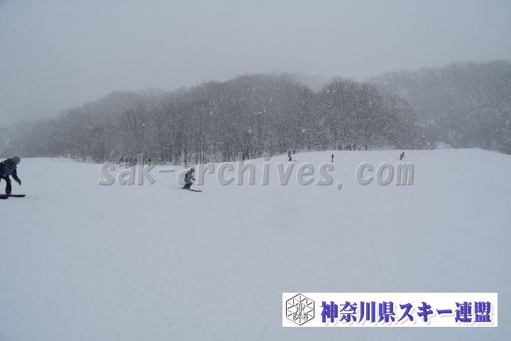 20190120_110312_2.jpg