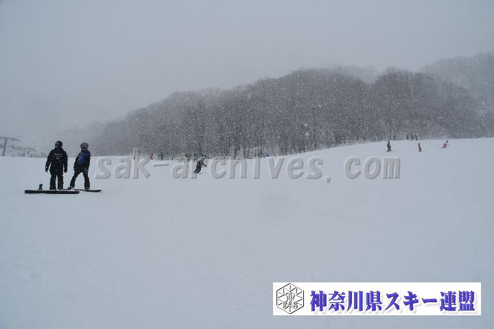20190120_110336_1.jpg