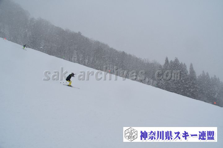 20190120_110619_4.jpg