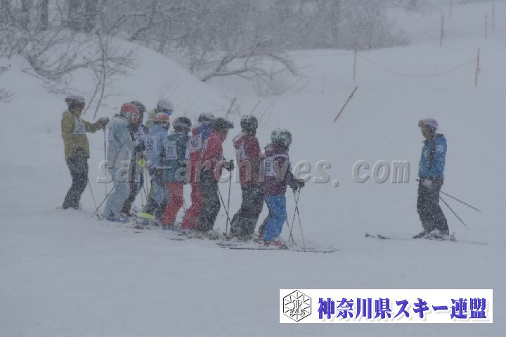 20190120_113317_0.jpg