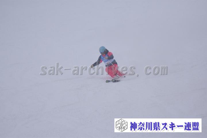 20190126_134727_5.jpg