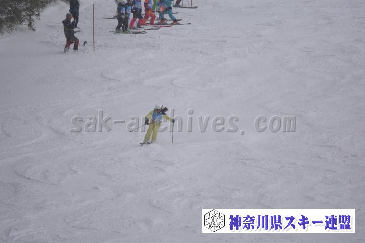 20190126_142834_4.jpg