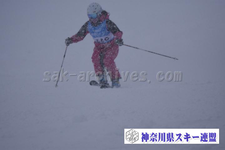 20190126_144109_1.jpg