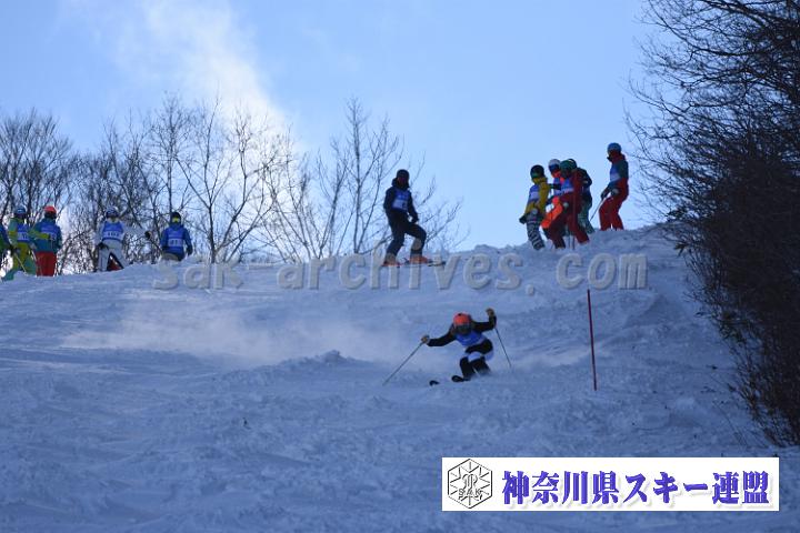 20190127_120117_3.jpg