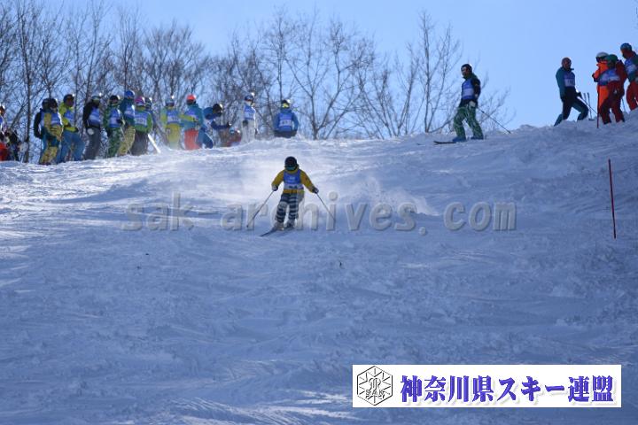 20190127_120243_0.jpg