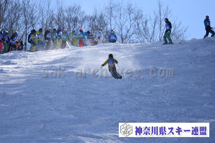 20190127_120243_5.jpg