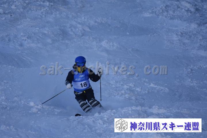 20190127_120808_4.jpg