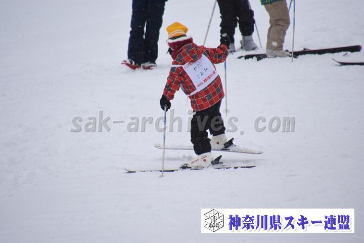 190216_123513_0.jpg