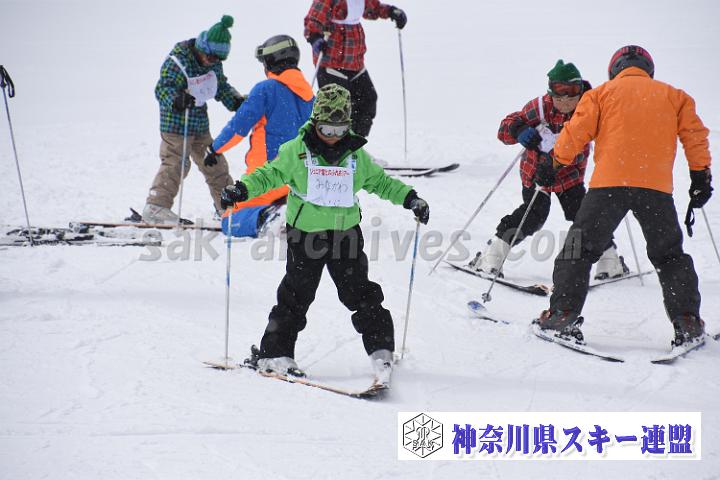 190216_124147_0.jpg