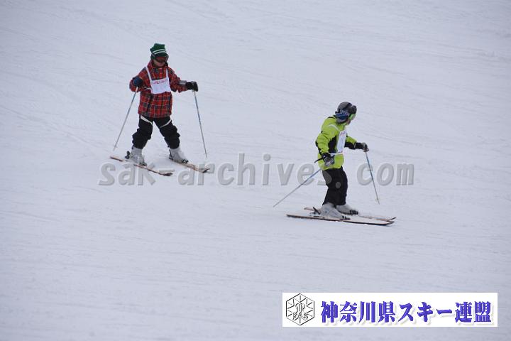 190216_145511_0.jpg
