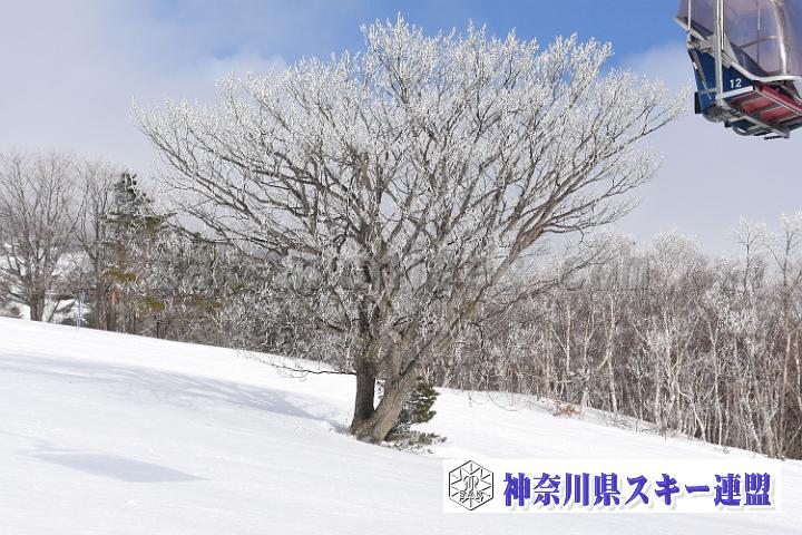 190216_153523_0.jpg