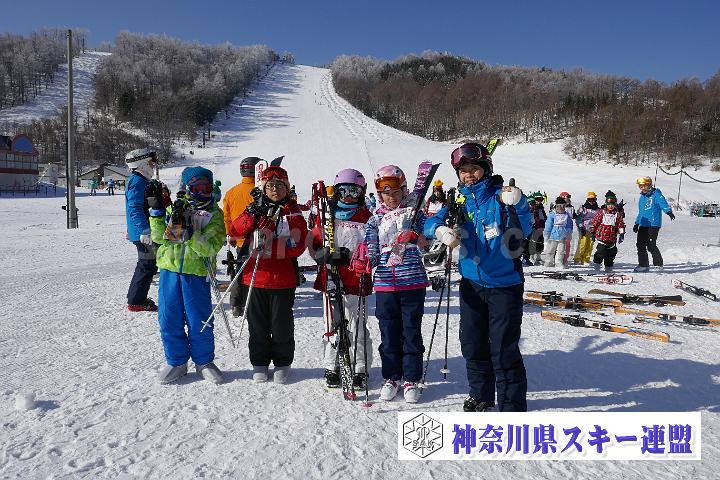 190217_090556_0.jpg