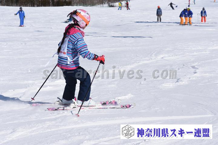 190217_110528_0.jpg