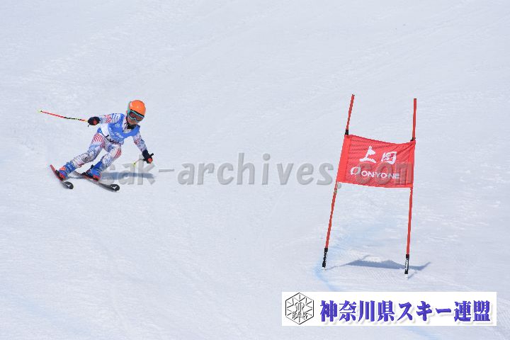 190302_114433_0.jpg