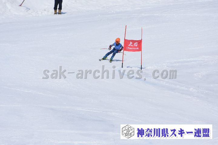 190302_114745_1.jpg