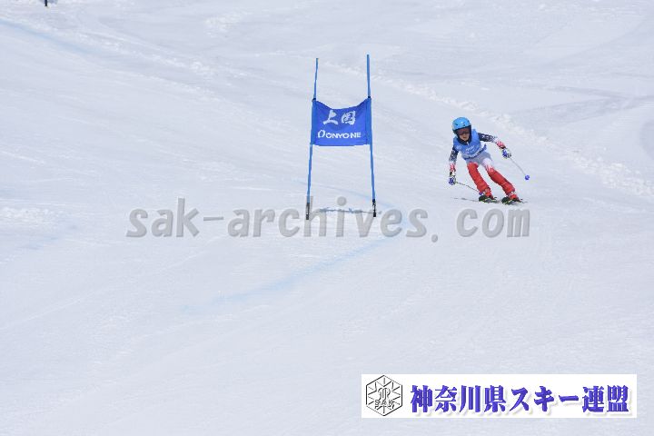 190302_114825_1.jpg