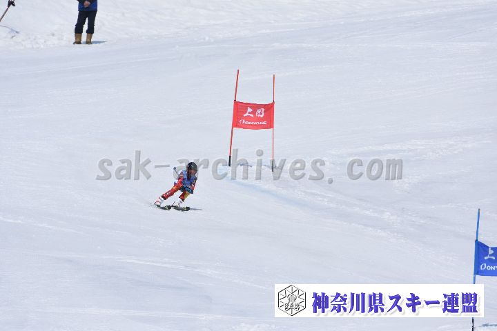 190302_114909_0.jpg