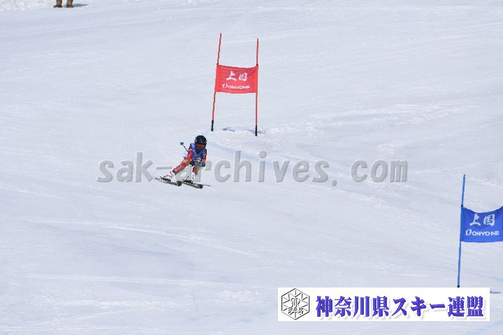 190302_114909_1.jpg