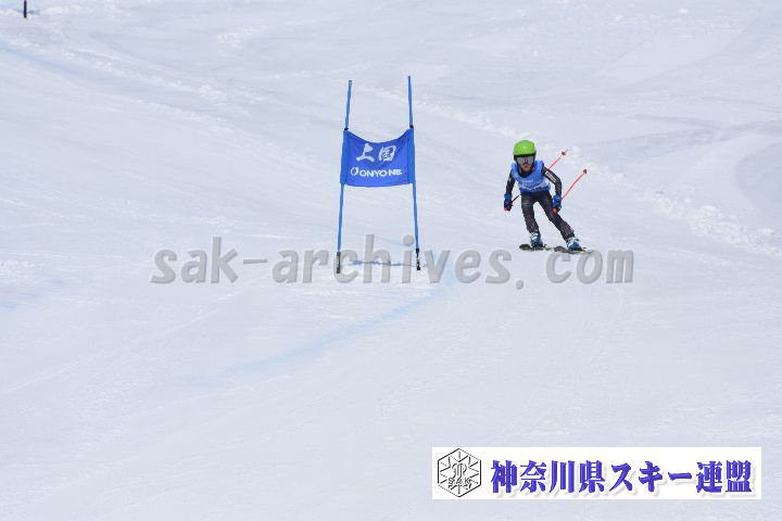 190302_114952_1.jpg