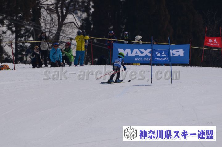 190302_115015_0.jpg