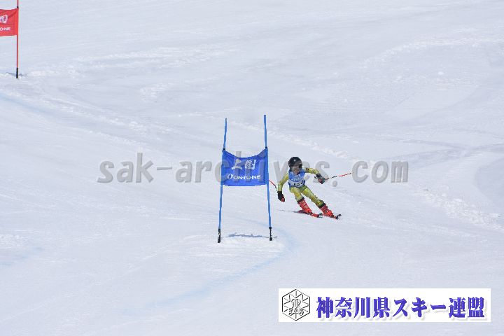 190302_115023_2.jpg