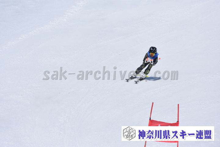 190302_115105_0.jpg