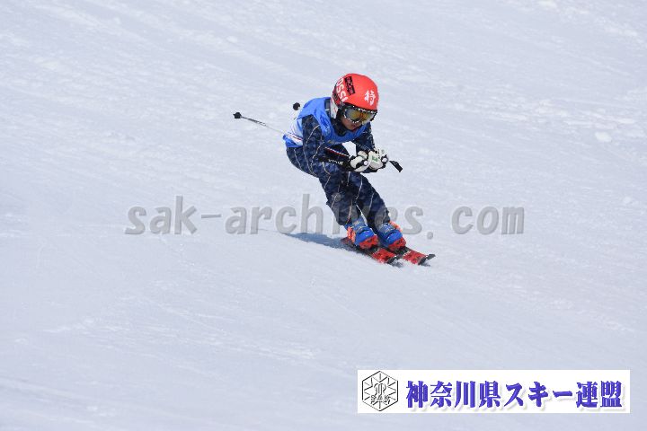 190302_115348_2.jpg