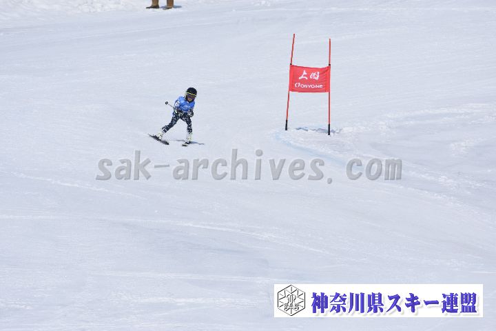 190302_115433_2.jpg
