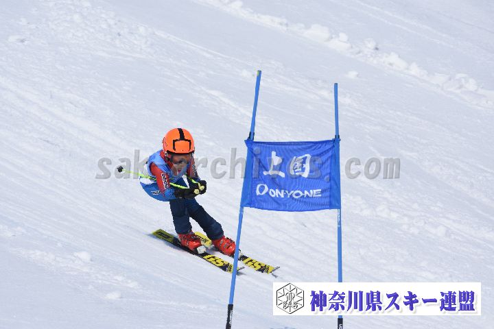 190302_121910_0.jpg