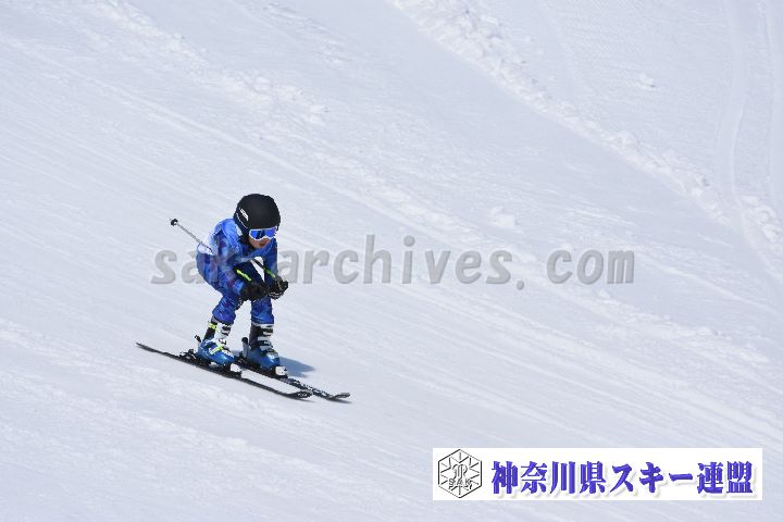 190302_122234_2.jpg
